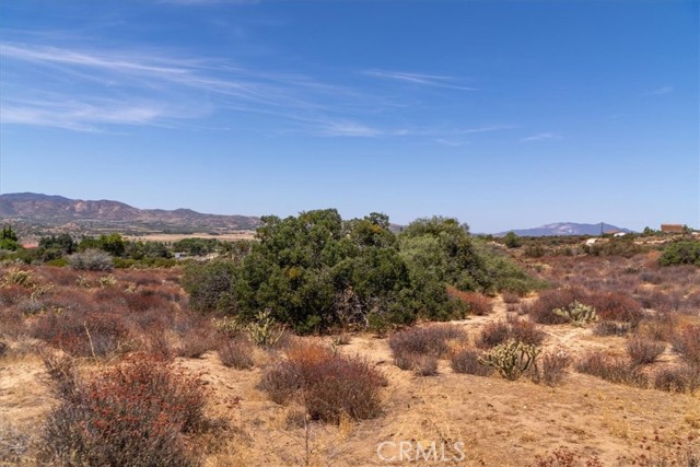 Detail Gallery Image 70 of 75 For 61826 Spanish Dagger Ln, Anza,  CA 92539 - 2 Beds | 2 Baths