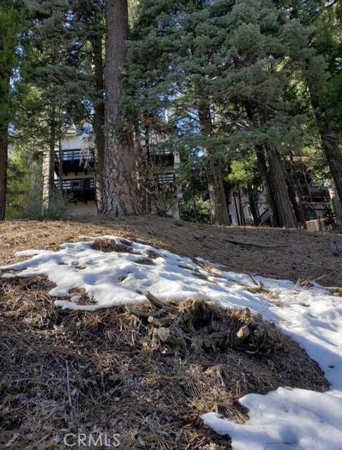 Detail Gallery Image 2 of 9 For 298 Birchwood Dr, Lake Arrowhead,  CA 92352 - 4 Beds | 3/1 Baths