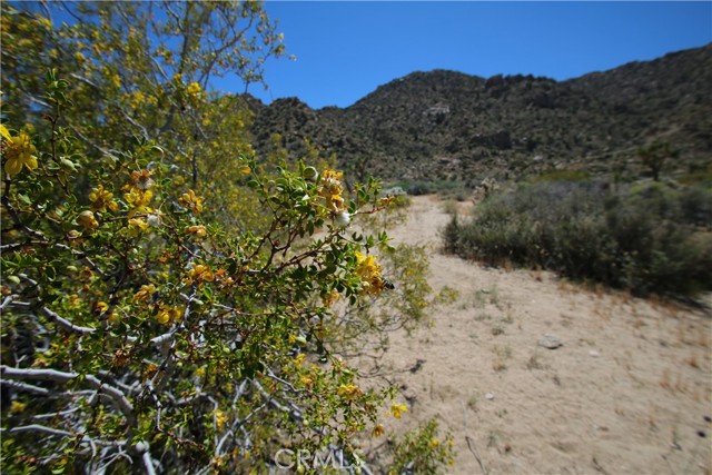 Detail Gallery Image 26 of 38 For 0 San Andreas, Joshua Tree,  CA 92252 - – Beds | – Baths