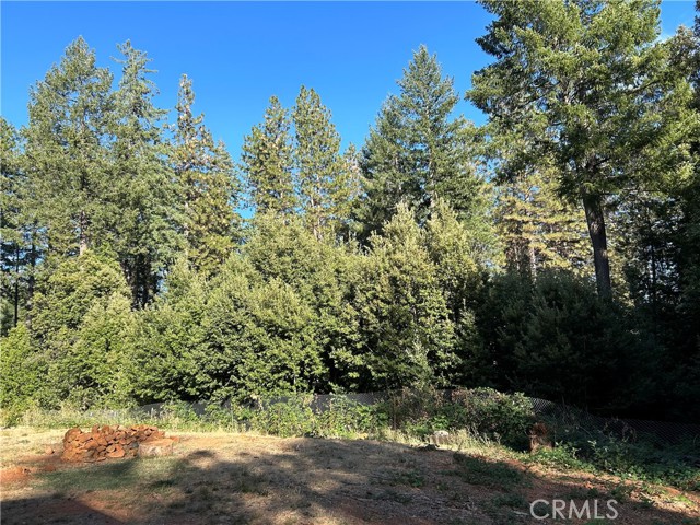 16116 Lovelock Road, Magalia CA: https://media.crmls.org/medias/141569c1-a2ba-4886-840b-724e46aff0a6.jpg