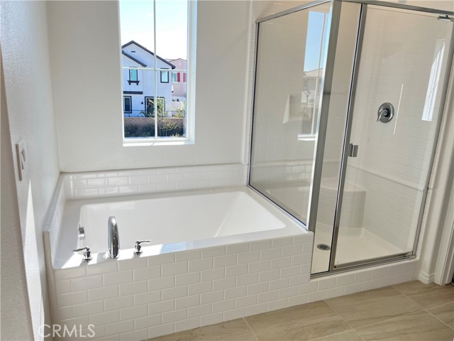 Master Bath and Shower