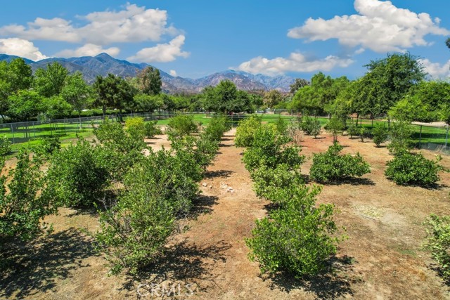 Detail Gallery Image 66 of 67 For 27258 Buffalo Trl, Corona,  CA 92883 - 3 Beds | 2 Baths