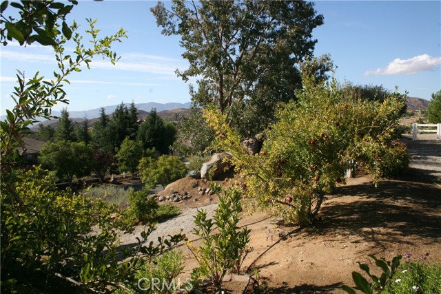 23641 ROSE QUARTZ Drive, Perris CA: https://media.crmls.org/medias/1418dbf7-c499-4584-9d96-bf4fcfbf4df0.jpg