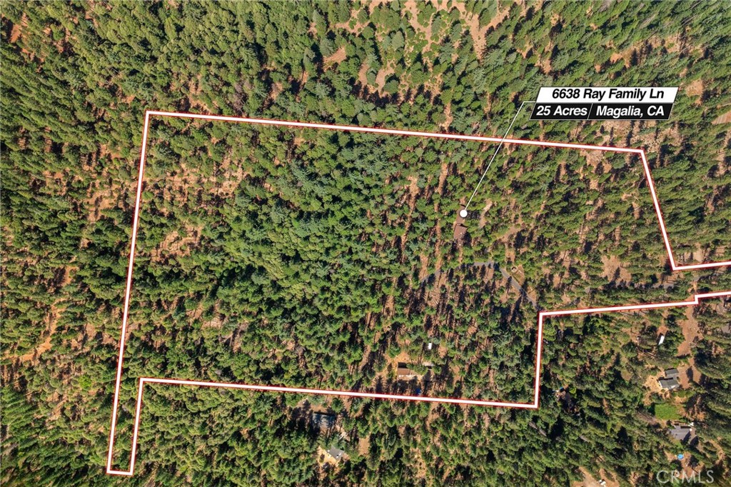 1419Bf04 Bf79 48A8 Aa6D 9043F1705Fe9 6638 Ray Family Lane, Magalia, Ca 95954 &Lt;Span Style='BackgroundColor:transparent;Padding:0Px;'&Gt; &Lt;Small&Gt; &Lt;I&Gt; &Lt;/I&Gt; &Lt;/Small&Gt;&Lt;/Span&Gt;