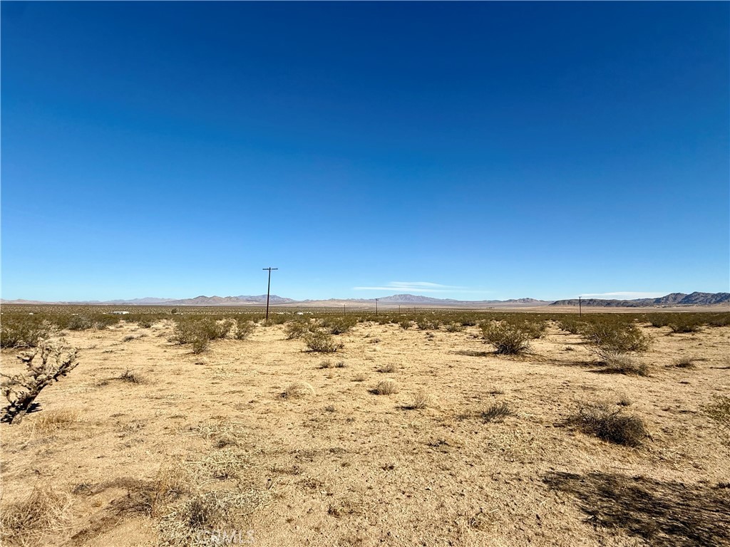 MLS #JT25208342 image #13