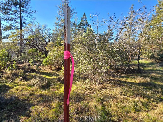 Detail Gallery Image 18 of 34 For 0 Double Eagle Way, Brownsville,  CA 95919 - – Beds | – Baths