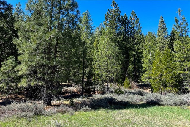 Detail Gallery Image 21 of 35 For 79402 State Highway 3, Trinity Center,  CA 96091 - – Beds | – Baths