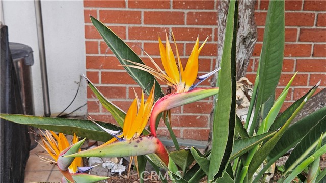 Detail Gallery Image 30 of 30 For 22935 Maple Ave a,  Torrance,  CA 90505 - 2 Beds | 2 Baths