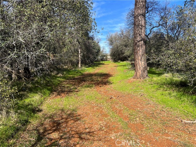 0 Highlands Boulevard, Oroville, California 95965, ,Land,For Sale,0 Highlands Boulevard,CRSN23181045