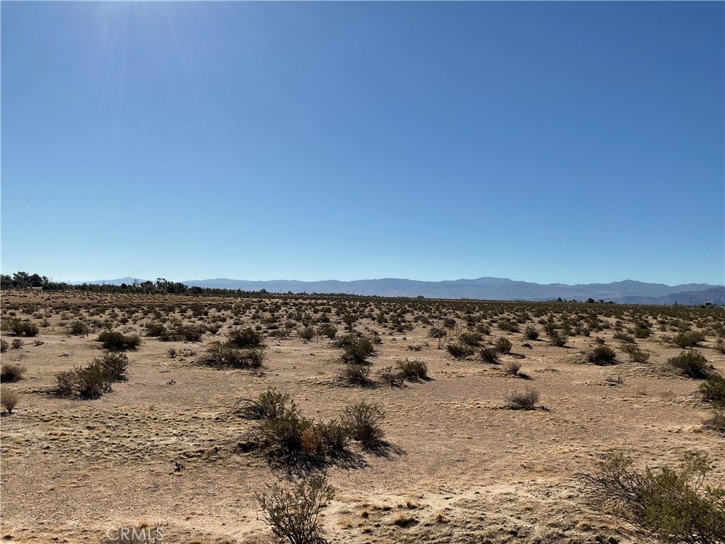 MLS #HD25254404 image #7