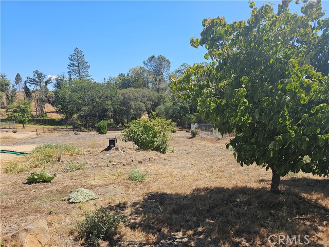 5232 Trafalgar Sq, Paradise, California 95969, ,Land,For Sale,5232 Trafalgar Sq,CRSN23043872