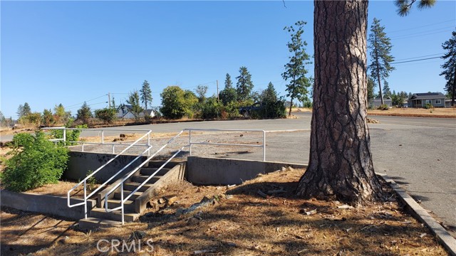 5325 Black Olive Drive, Paradise, California 95969, ,Land,For Sale,5325 Black Olive Drive,CRSN23197459