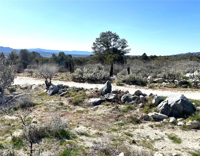 Detail Gallery Image 16 of 29 For 0 Oak Rd, Anza,  CA 92539 - – Beds | – Baths