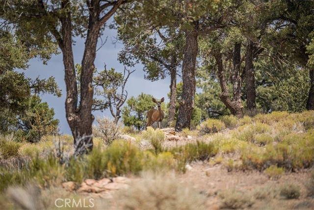 550 Eagle Ridge Rd, Big Bear, CA 92314