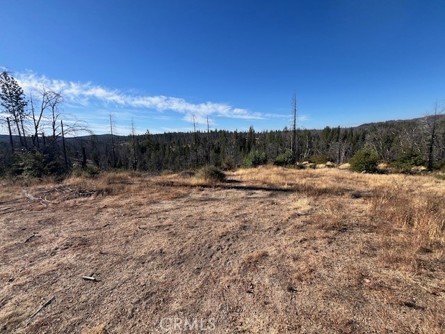 80 Oak Drive, Berry Creek CA: https://media.crmls.org/medias/143e9eac-53ed-48fa-b9a5-129f613e16a7.jpg