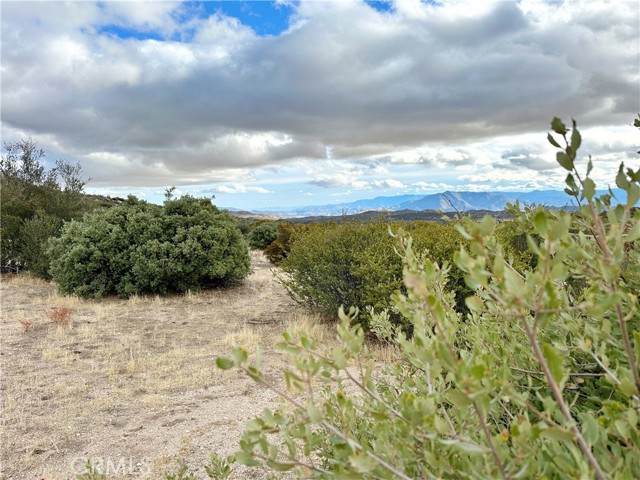 Detail Gallery Image 23 of 46 For 40 Acres via Oak Grove Ln, Ranchita,  CA 92066 - – Beds | – Baths