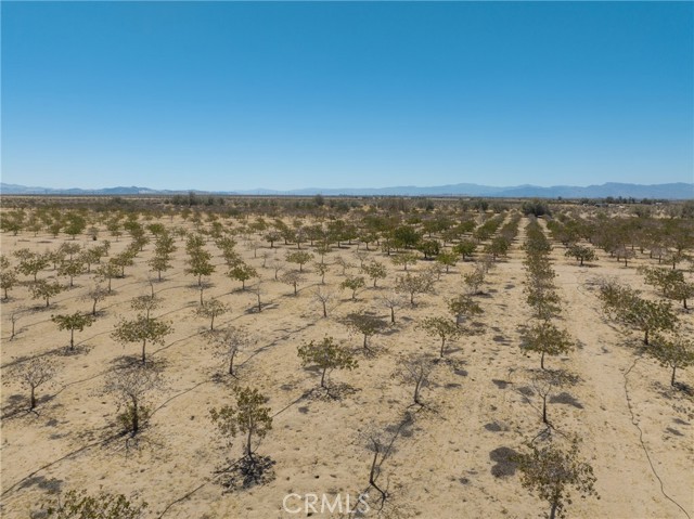 42797 Navajo, Newberry Springs, California 92365, ,Land,For Sale,42797 Navajo,CRHD23161688