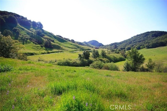 0 Old Creek Road, Cayucos CA: https://media.crmls.org/medias/14549a07-1552-47b7-b48f-75ad63b2d9c0.jpg