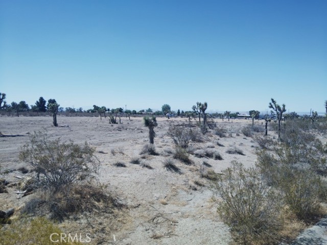Detail Gallery Image 3 of 6 For 0 Pionero Rd, Pinon Hills,  CA 92372 - – Beds | – Baths