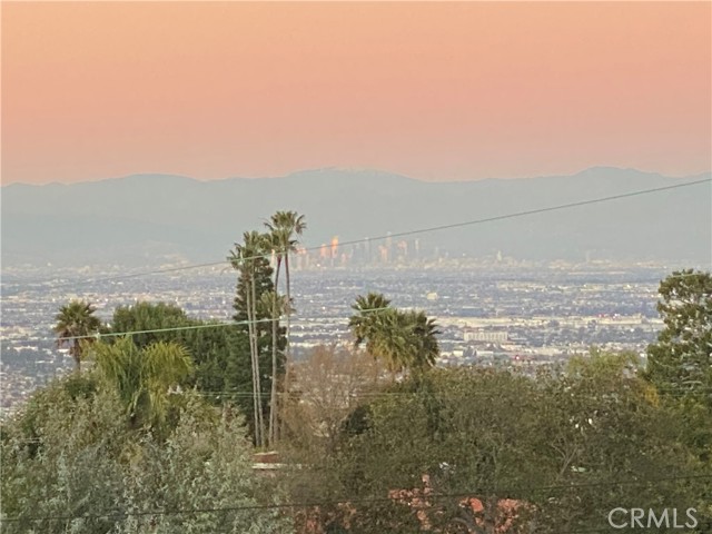 Down Town Los Angeles view