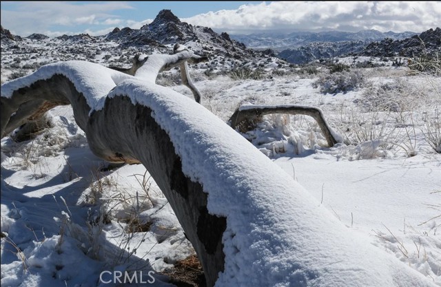 0 E Drive, Pioneertown CA: https://media.crmls.org/medias/1456b40f-cf9f-4027-aad8-7b0163162d58.jpg