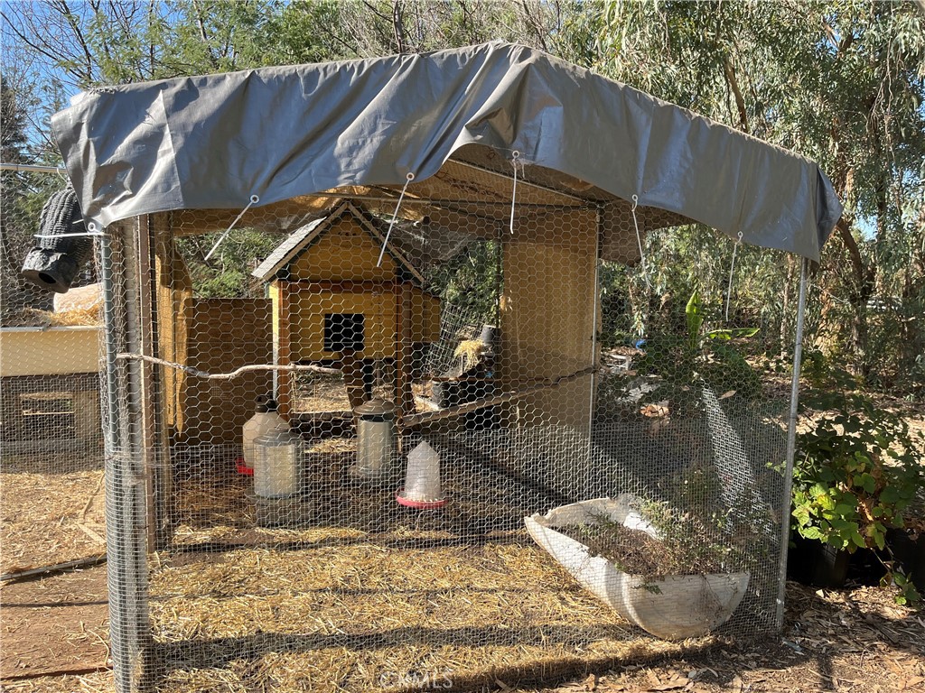 Chicken Coup