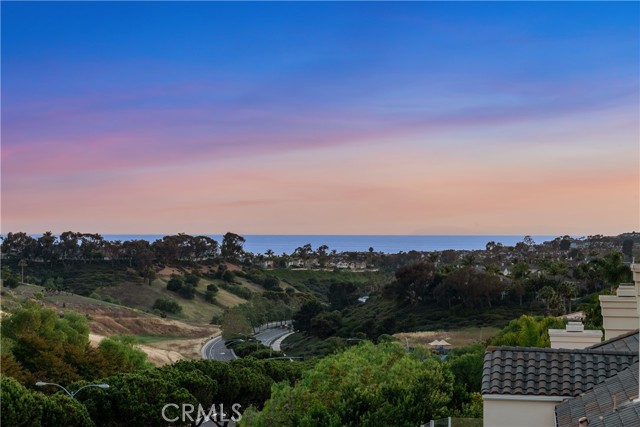 123 Costa Brava, Laguna Niguel CA: https://media.crmls.org/medias/14659fec-c3b1-4bc8-b243-3e59548d2431.jpg