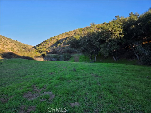 Detail Gallery Image 6 of 17 For 0 Jackson Ranch Rd, Silverado,  CA 92676 - – Beds | – Baths