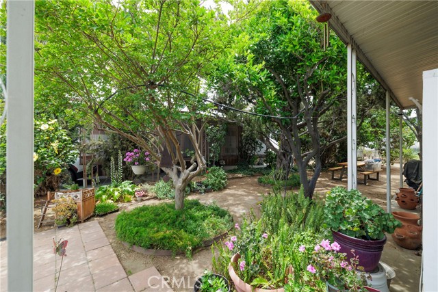 3700 Buchanan, Riverside CA: https://media.crmls.org/medias/14667d13-833f-4ef6-a6c0-1a91a0fc5035.jpg