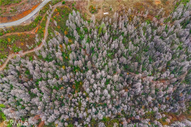 Detail Gallery Image 13 of 15 For 1 Oroville-Quincy Hwy, Berry Creek,  CA 95916 - – Beds | – Baths