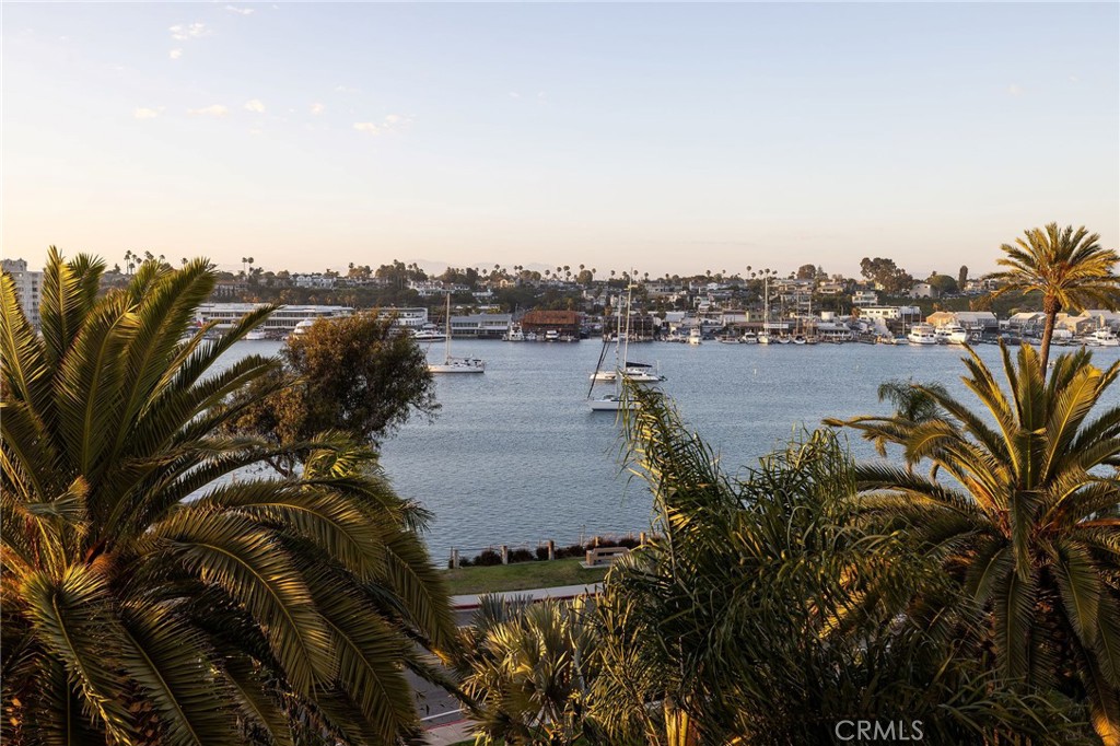 MLS #NP26128522 image #51