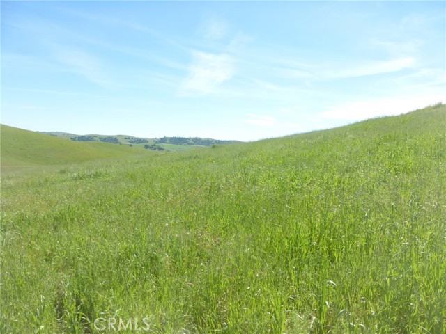 Detail Gallery Image 72 of 75 For 0 Douglas Rd. (Lots 28, 33 & 34), San Miguel,  CA 93451 - – Beds | – Baths