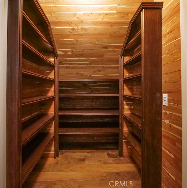 Large walk-in closet with shelving in lower area