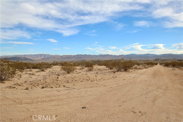 Detail Gallery Image 11 of 17 For 3025 Flamingo Ave, Joshua Tree,  CA 92252 - – Beds | – Baths