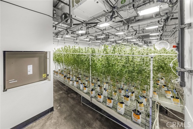 Image 35 of 54 For 44211 Yucca