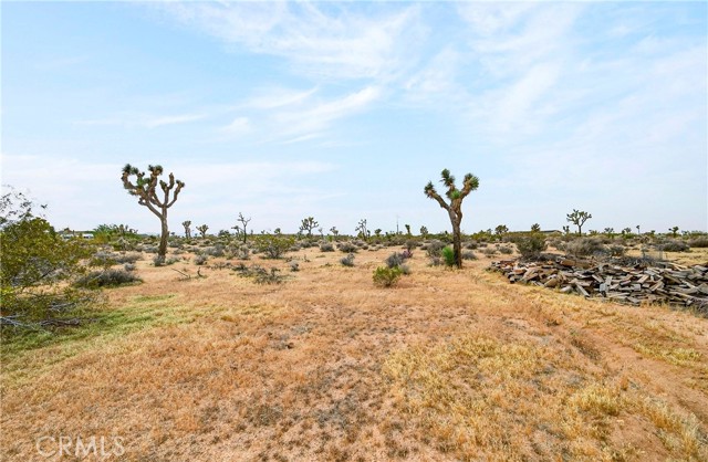Detail Gallery Image 44 of 67 For 57661 Aberdeen, Yucca Valley,  CA 92284 - 4 Beds | 2 Baths