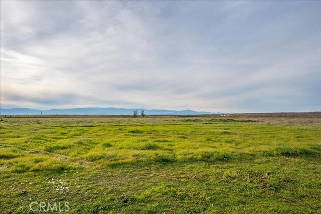 Detail Gallery Image 55 of 60 For 21550 Leaf Ave, Corning,  CA 96021 - 3 Beds | 2/1 Baths