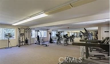 https://media.crmls.org/medias/14ad656a-0405-4a40-a433-a33218aa025a.jpg?preset=X-Large