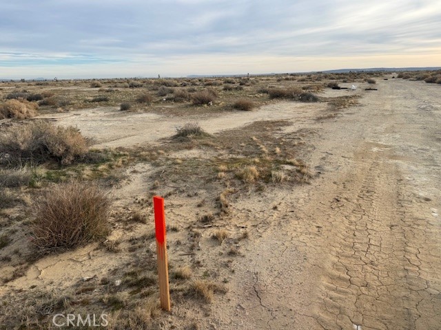 Front Image Thumbnail for CRSR25278358