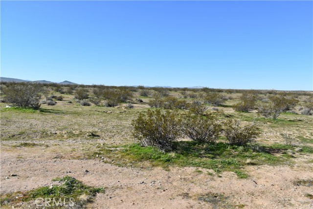 Detail Gallery Image 18 of 31 For 25 Frontier, Helendale,  CA 92342 - – Beds | – Baths