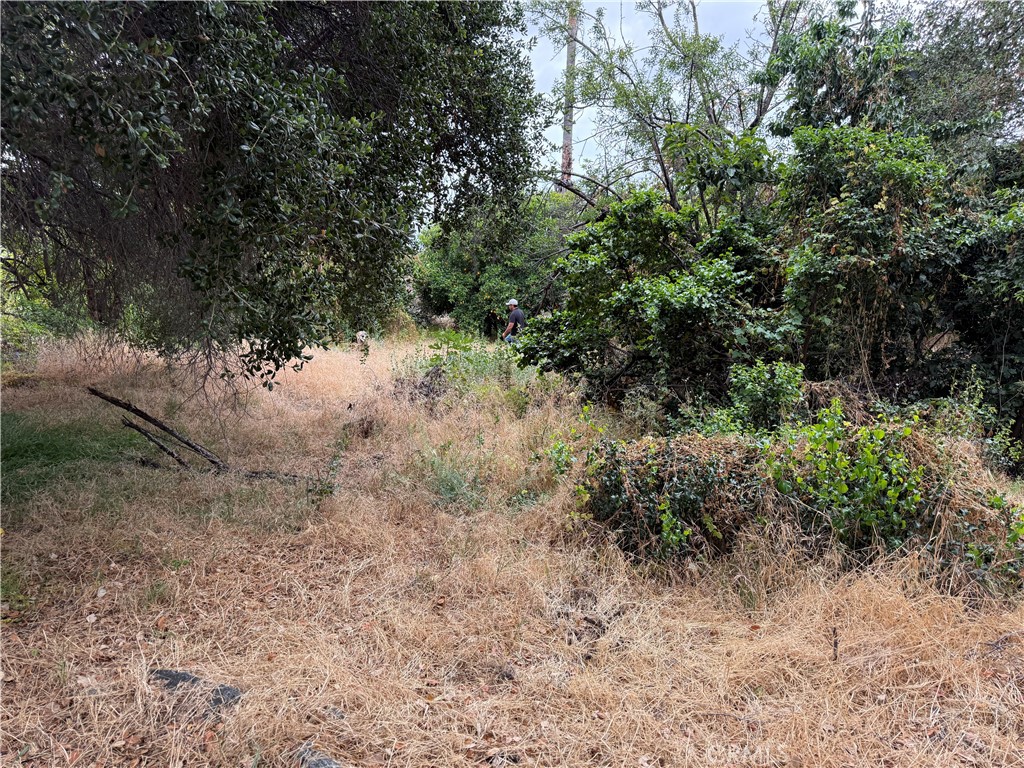 https://media.crmls.org/medias/14bbb9af-c9ad-47b6-b13d-aedb95656265.jpg?preset=X-Large