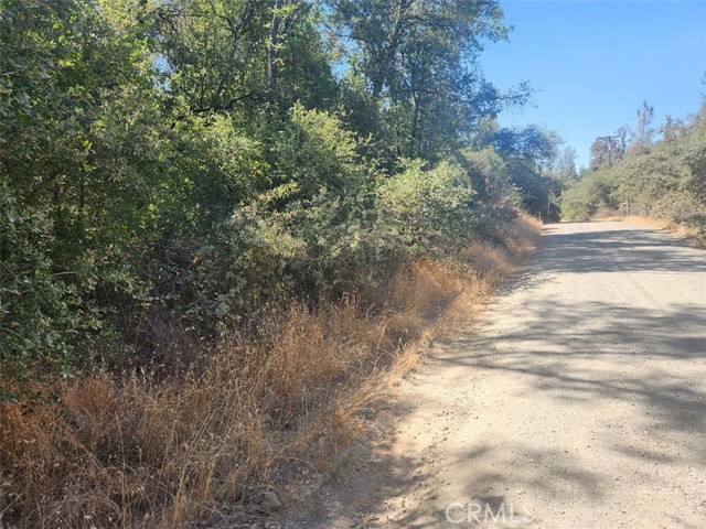 47 Texas Hill Road, Oregon House CA: https://media.crmls.org/medias/14bc1a6f-2e0c-4eda-baf3-b1c8d17455fa.jpg