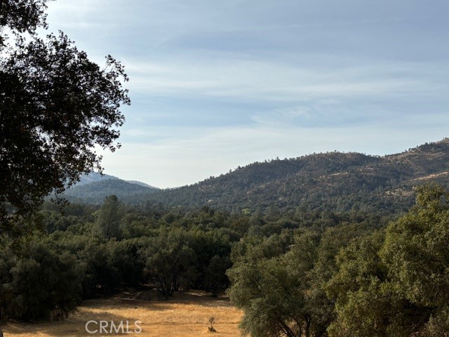 Detail Gallery Image 36 of 36 For 4546 Quail Ct, Mariposa,  CA 95338 - 3 Beds | 2 Baths