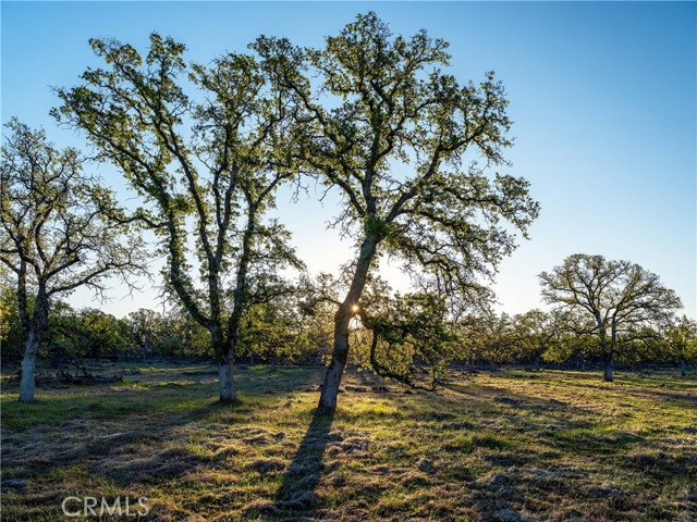 Detail Gallery Image 6 of 16 For 0 Grindstone, Chico,  CA 95973 - – Beds | – Baths