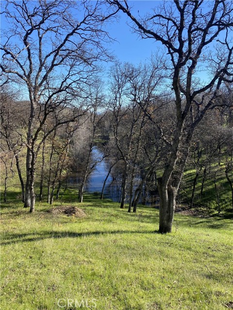 Front Image Thumbnail for CRSN25260424