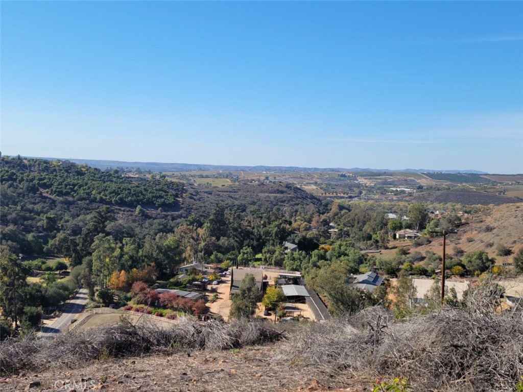 1390 Little Gopher Canyon Road, Bonsall, CA 92003