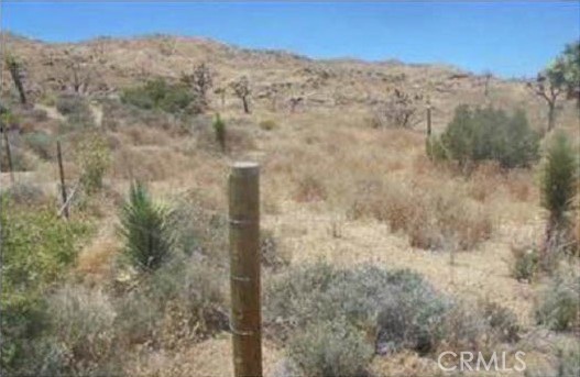 Front Image Thumbnail for CRPW26069284