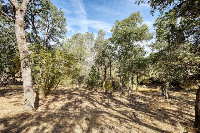 15358 Pacific Street, Clearlake, California 95422, ,Land,For Sale,15358 Pacific Street,CRLC23176279