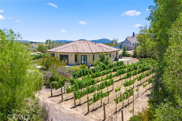 39547 Calle Cabernet, Temecula CA: https://media.crmls.org/medias/14d92f96-ea95-44a2-b916-f00e3db0a091.jpg