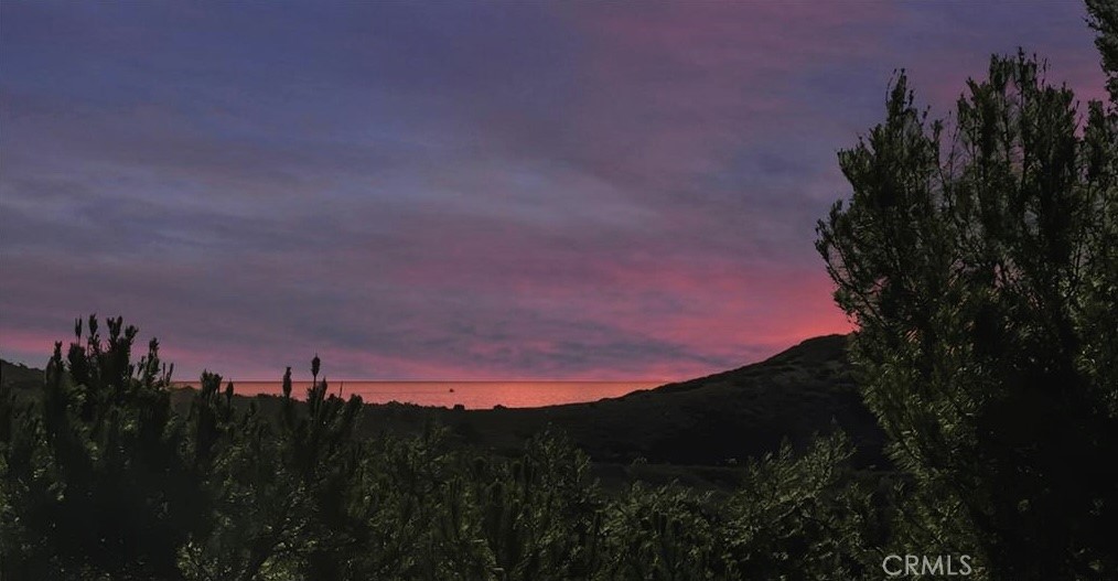 MLS #OC25263952 image #50